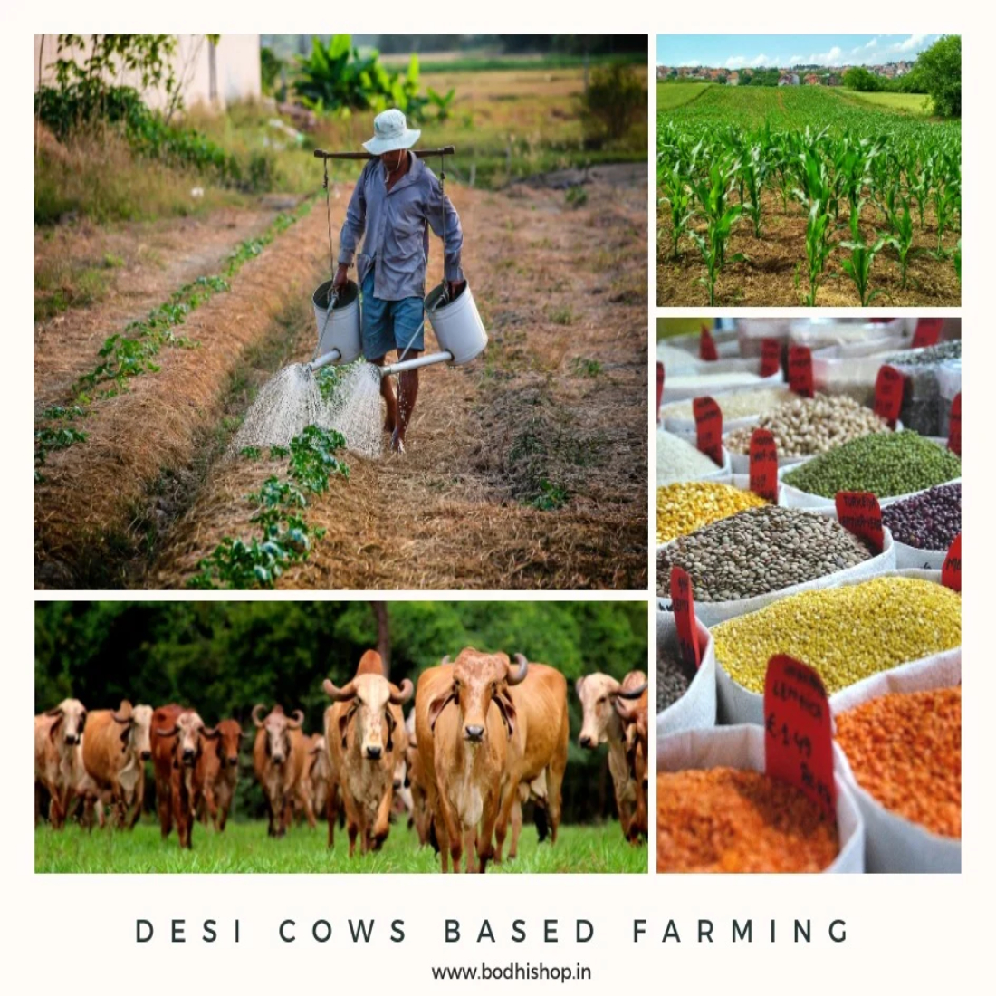 Farmer Welfare News
